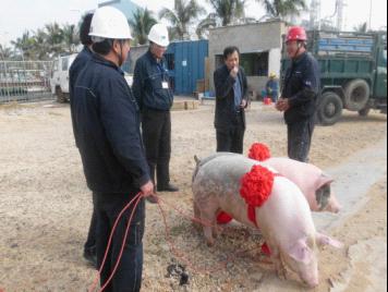 中海油東方石化領(lǐng)導(dǎo)來第六直屬分公司海南海油項目部慰問